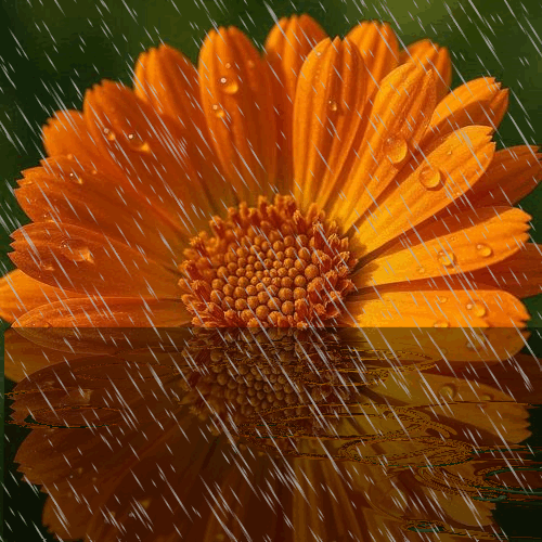 [Resim: 1779600961560.gif]