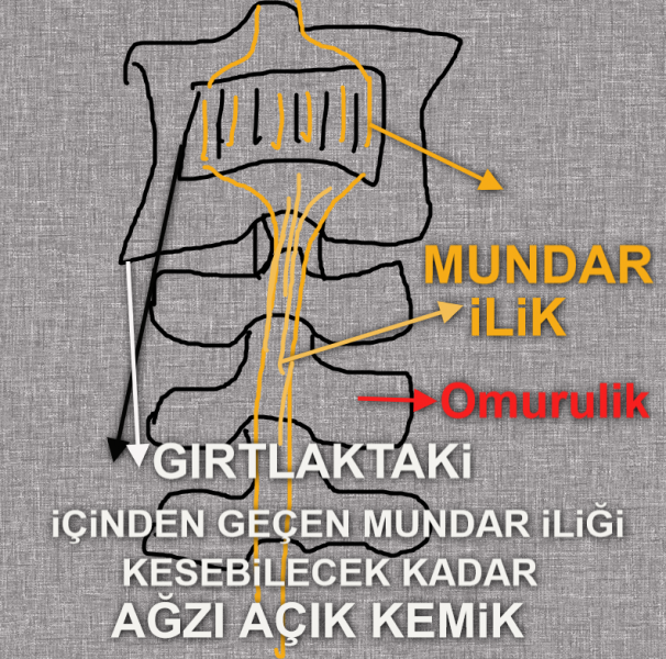 [Resim: 1780394041930.png]