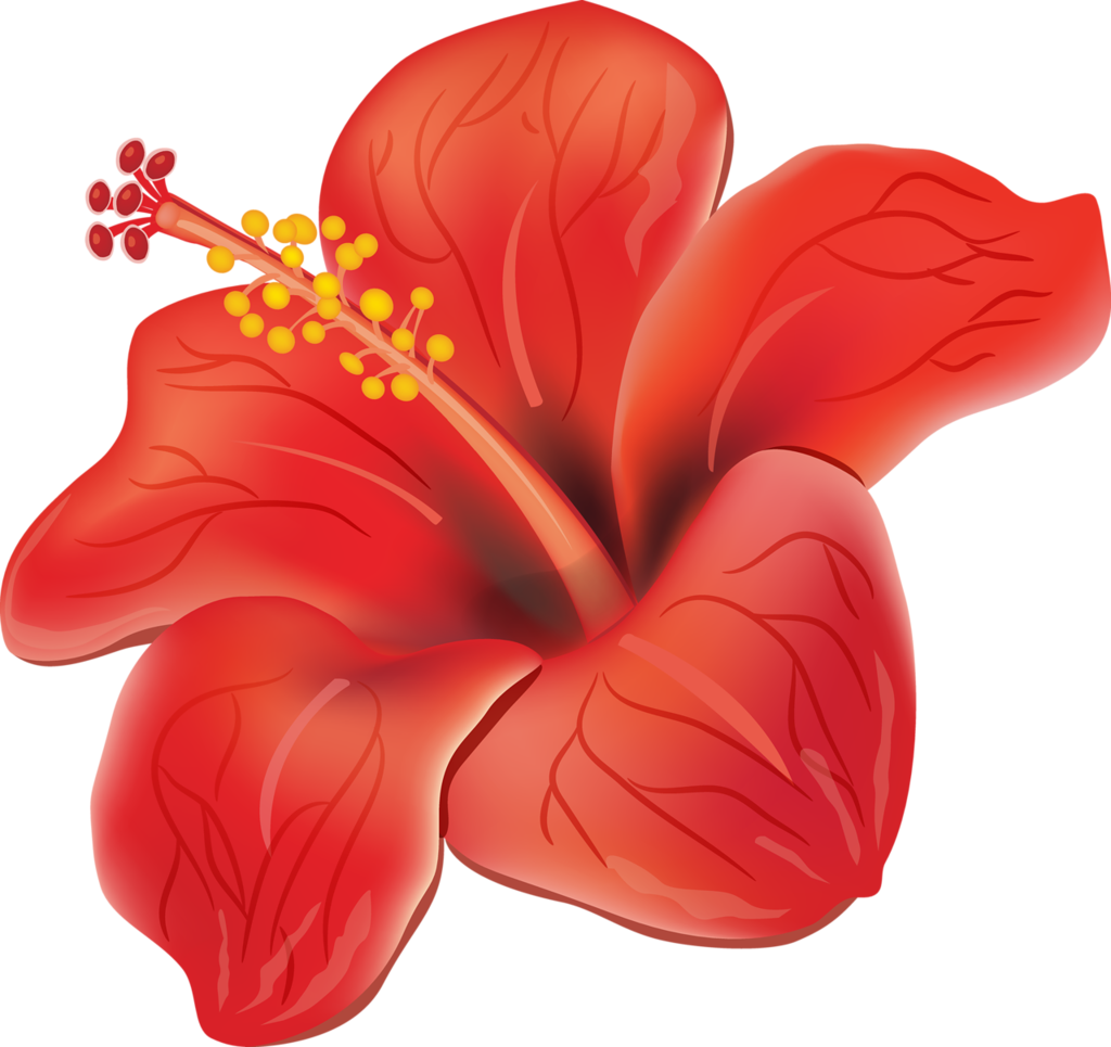 [Resim: 1780635696170.png]