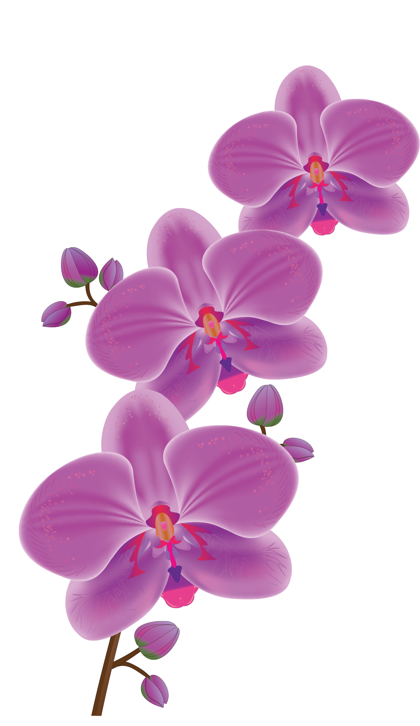 [Resim: 1780635697580.png]