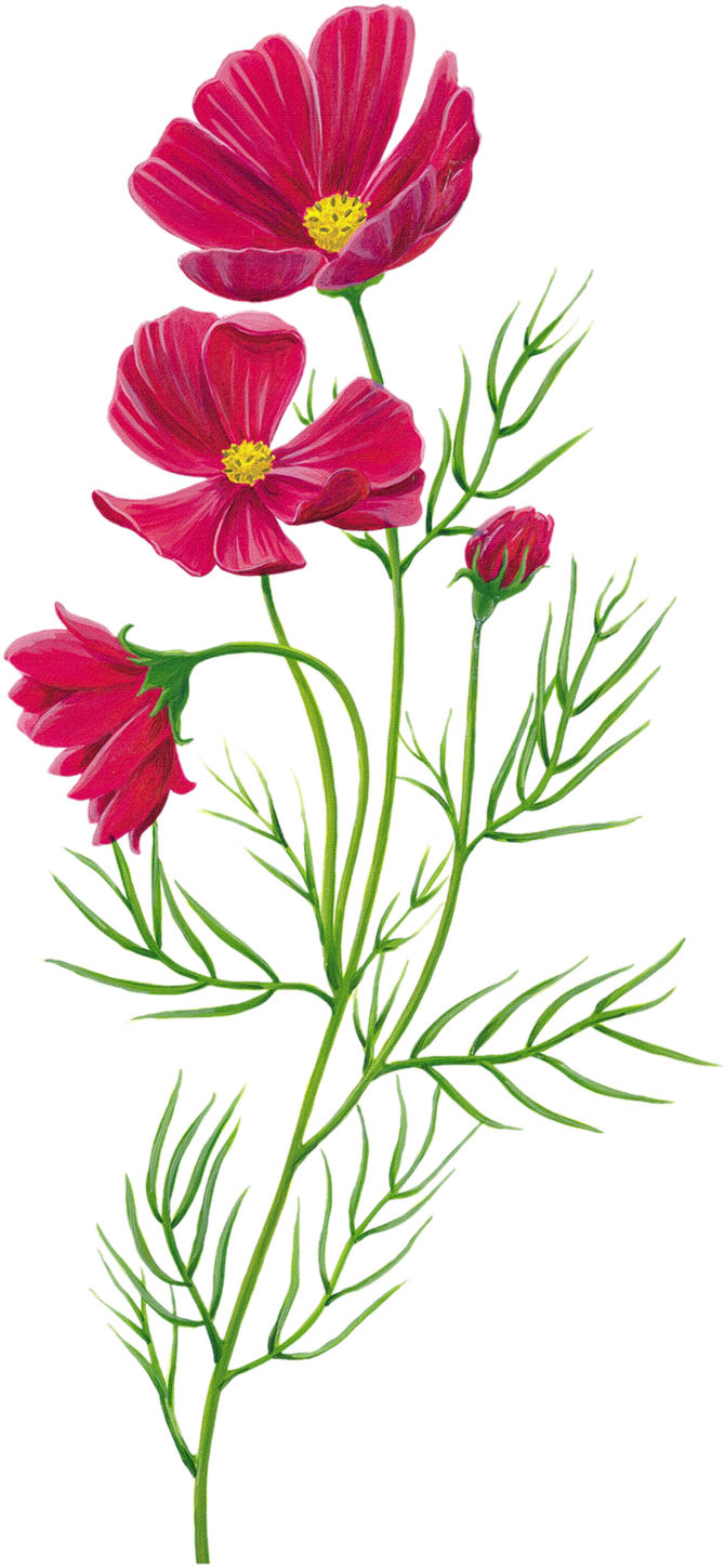 [Resim: 1780635697620.png]