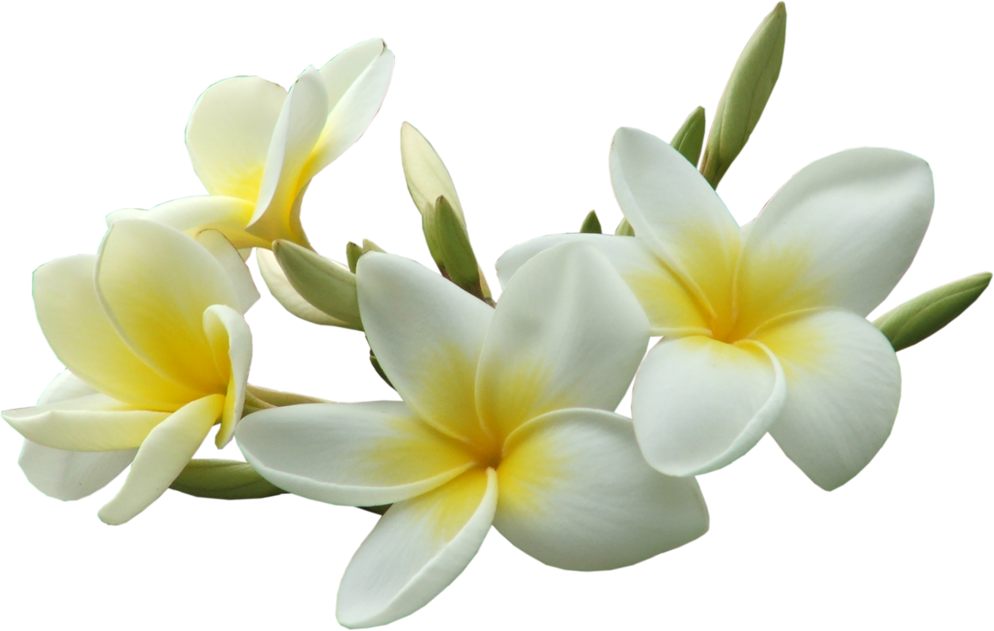 [Resim: 1780635699460.png]