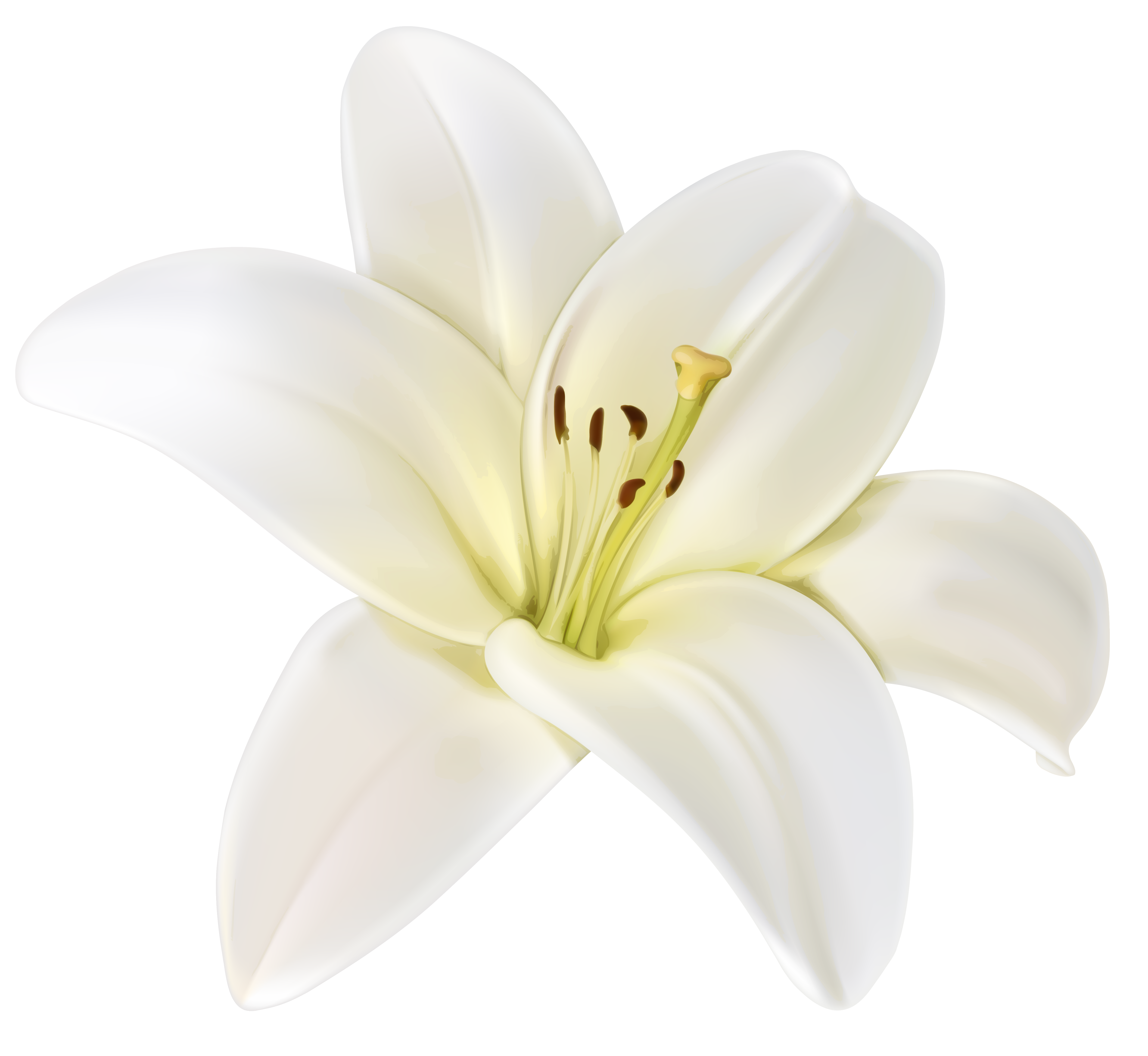 [Resim: 178063570080.png]