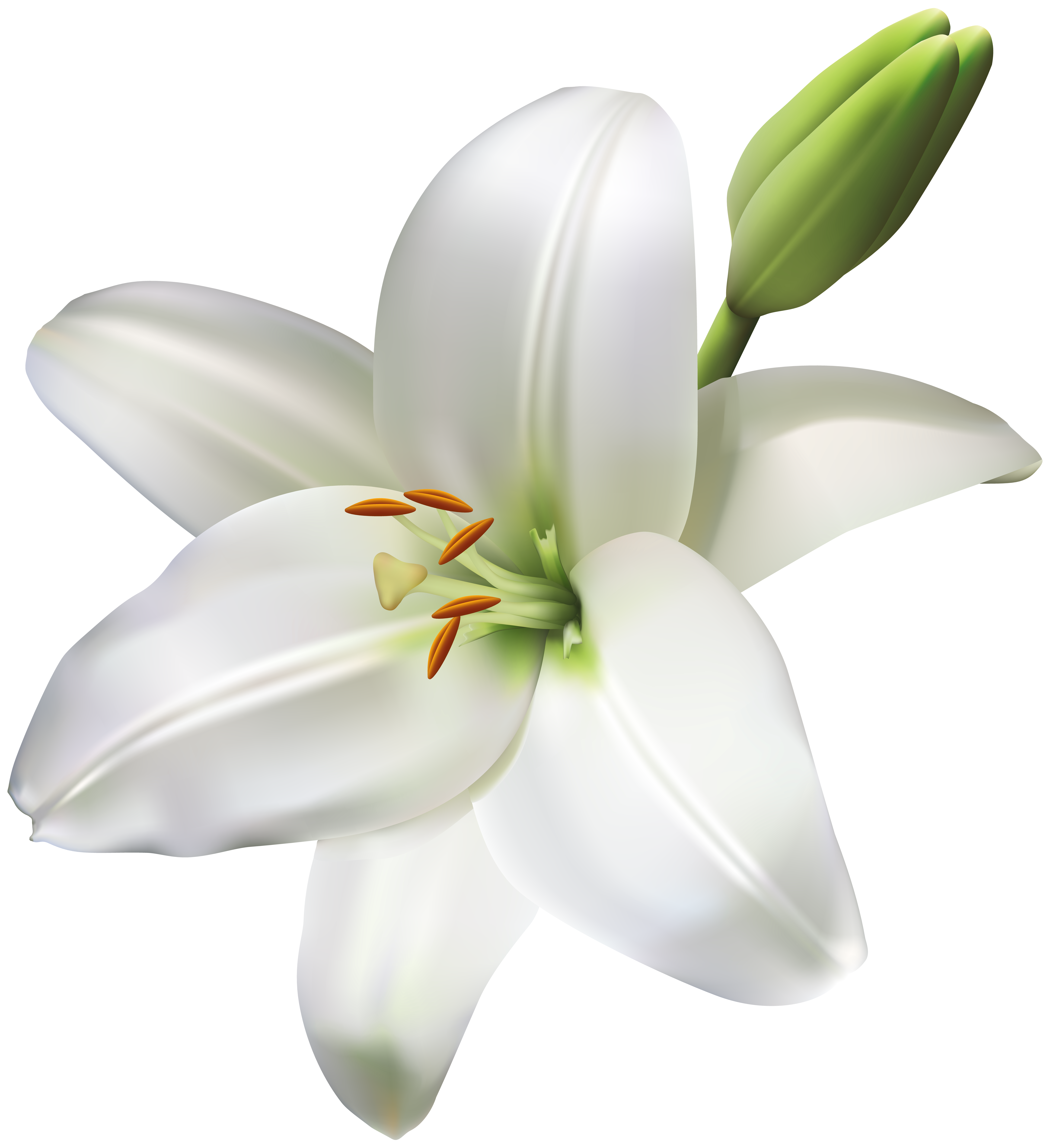 [Resim: 1780635703260.png]
