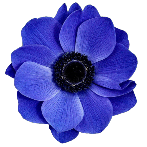 [Resim: 1780636558660.png]
