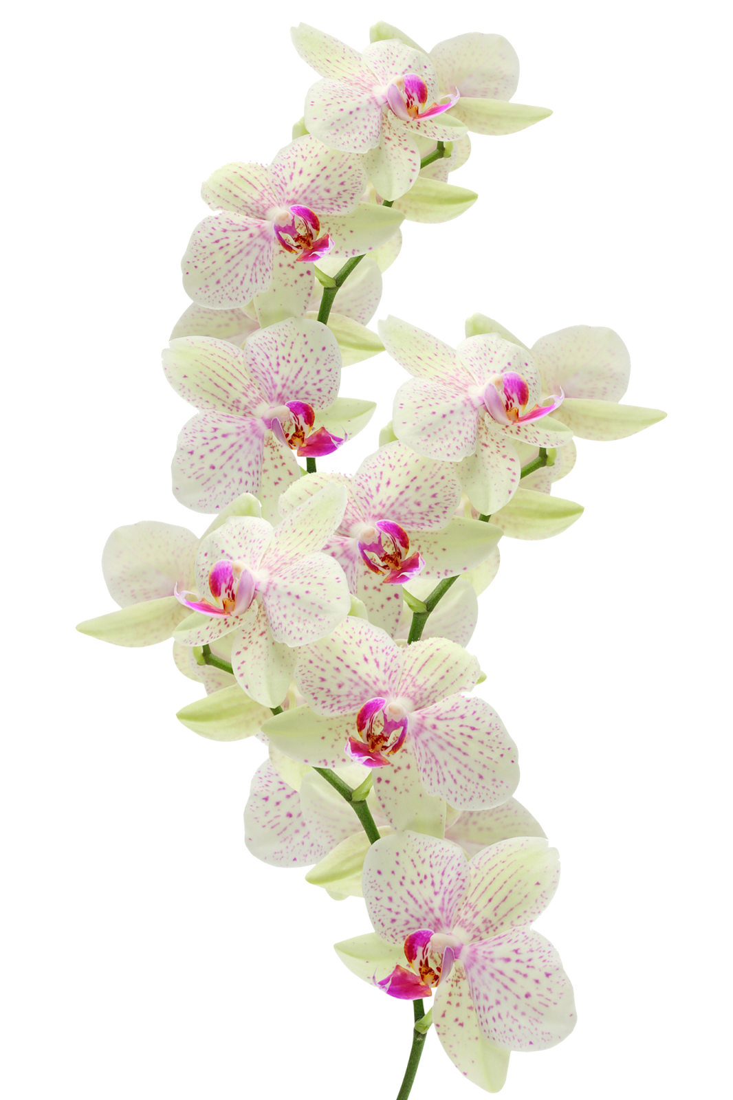 [Resim: 1780636560270.png]